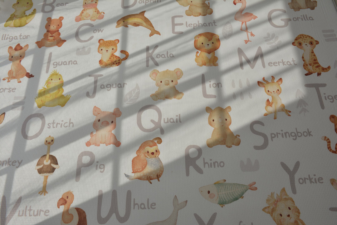Animal Alphabet / Rainbow Play Mat