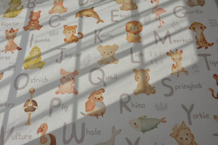 Animal Alphabet / Rainbow Play Mat