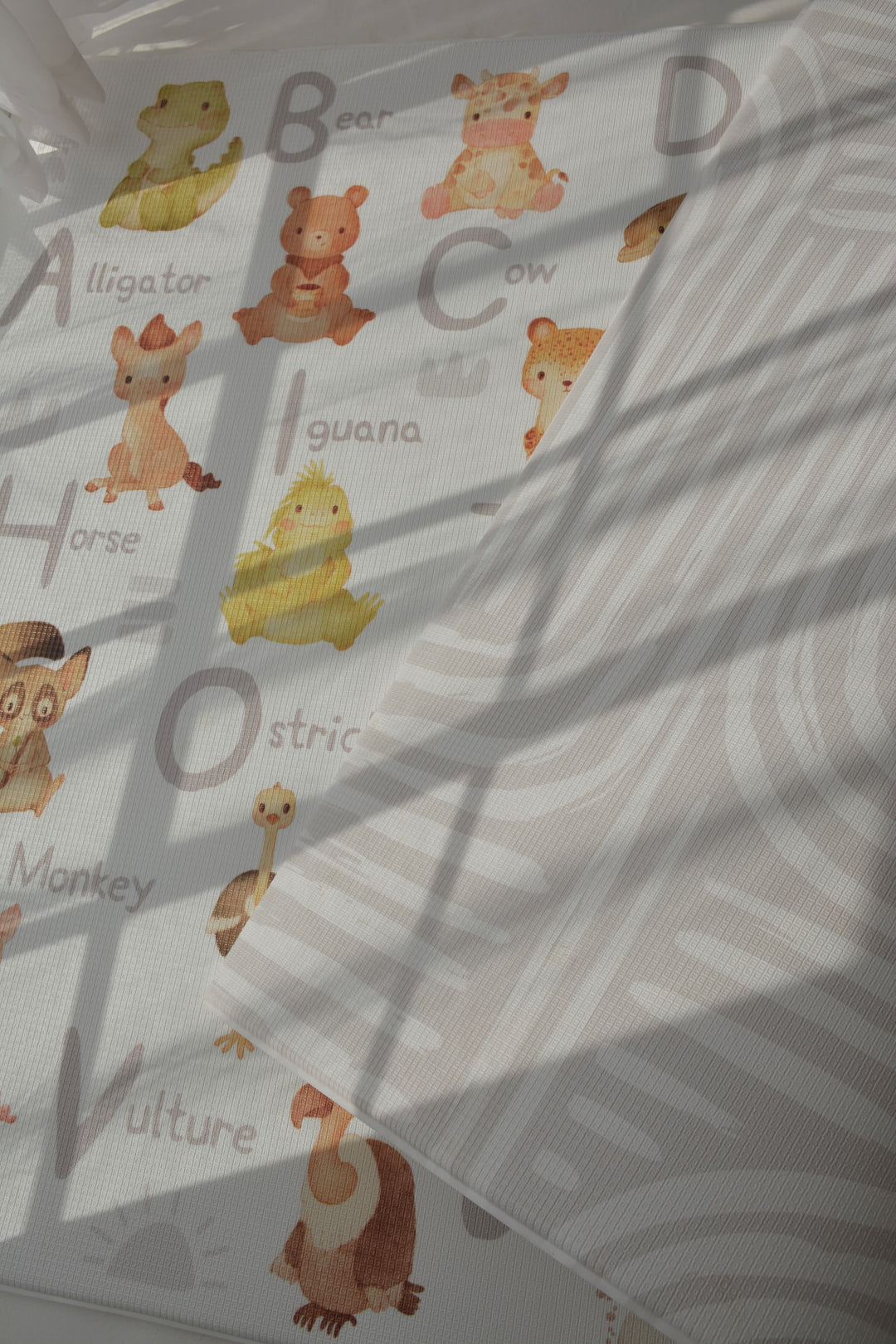 Animal Alphabet / Rainbow Play Mat