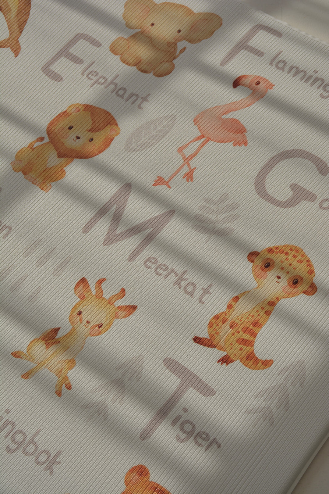 Animal Alphabet / Rainbow Play Mat