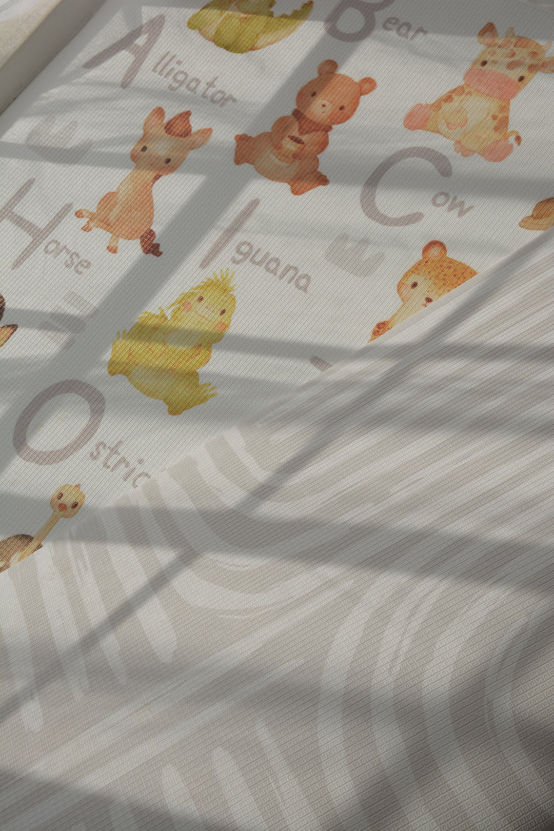 Animal Alphabet / Rainbow Play Mat
