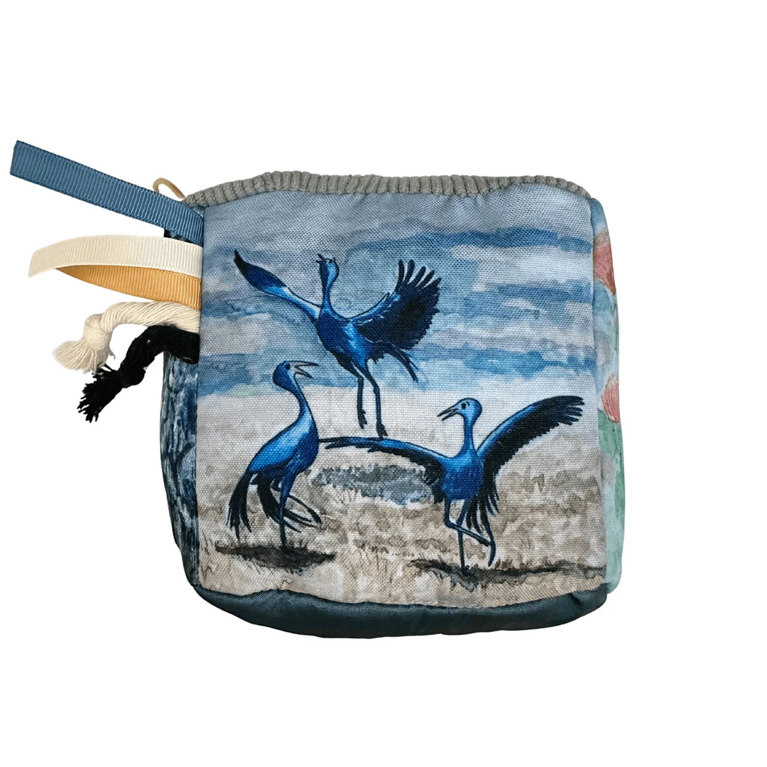 Curious Kudu Sensory Cube | Birds